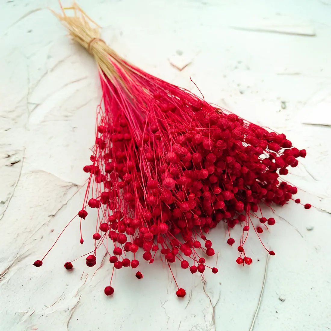 len-suszony-czerwony