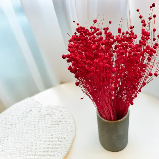 len-suszony-czerwony-kod-producenta-len-czerwony