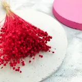 len-suszony-czerwony-marka-enchanted