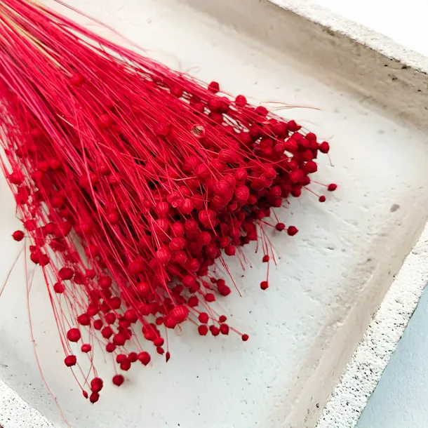 len-suszony-czerwony-stan-nowy-kod-producenta-len-czerwony