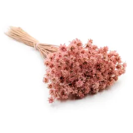 hill-flower-rozowy