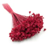 hill-flower-cerwony