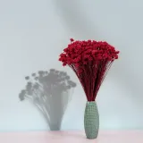 hill-flower-cerwony-stan-nowy-kod-producenta-hill-flower-czerwony