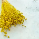 len-suszony-zolty-kod-producenta-len-zolty