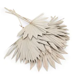 palma-wachlarz-palm-sun-naturalna