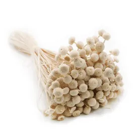 botao-amarelino-amarelinho-bezowe