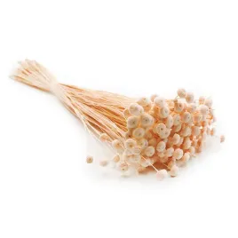 botao-amarelino-amarelinho-brzoskwiniowe