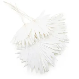 palma-wachlarz-palm-sun-bielona