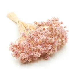 hill-flower-lila