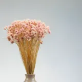 hill-flower-lila-kod-producenta-hill-flower-lila