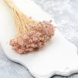 hill-flower-lila-wysokosc-maksymalna-60-cm