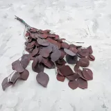 eukaliptus-stabilizowany-populus-czerwony-stan-nowy-kod-producenta-populus-czerwony
