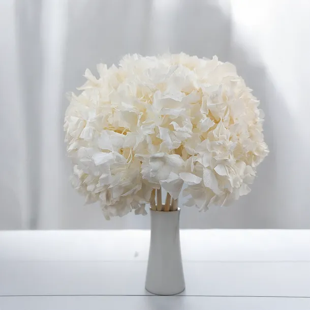 hortensja-stabilizowana-hydrangea-biala-kod-producenta-hortensja-biala-es