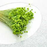 len-suszony-zielony-rodzaj-trawy