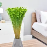 len-suszony-zielony-kod-producenta-len-zielony