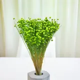 len-suszony-zielony-wysokosc-maksymalna-60-cm