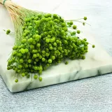 len-suszony-zielony-marka-enchanted