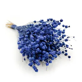 len-suszony-niebieski