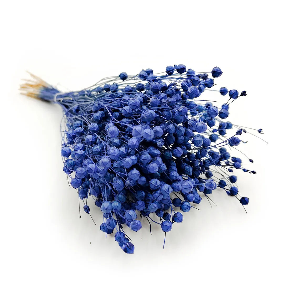 len-suszony-niebieski-stan-nowy