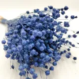 len-suszony-niebieski-stan-nowy