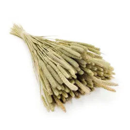 suszona-tymotka-naturalna