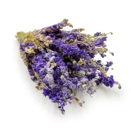 ostrozka-suszona-delphinium-niebieska
