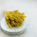 suszona-pszenica-zolta-stan-nowy