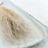 lepidium-lepidium-sativum-bielone-stan-nowy