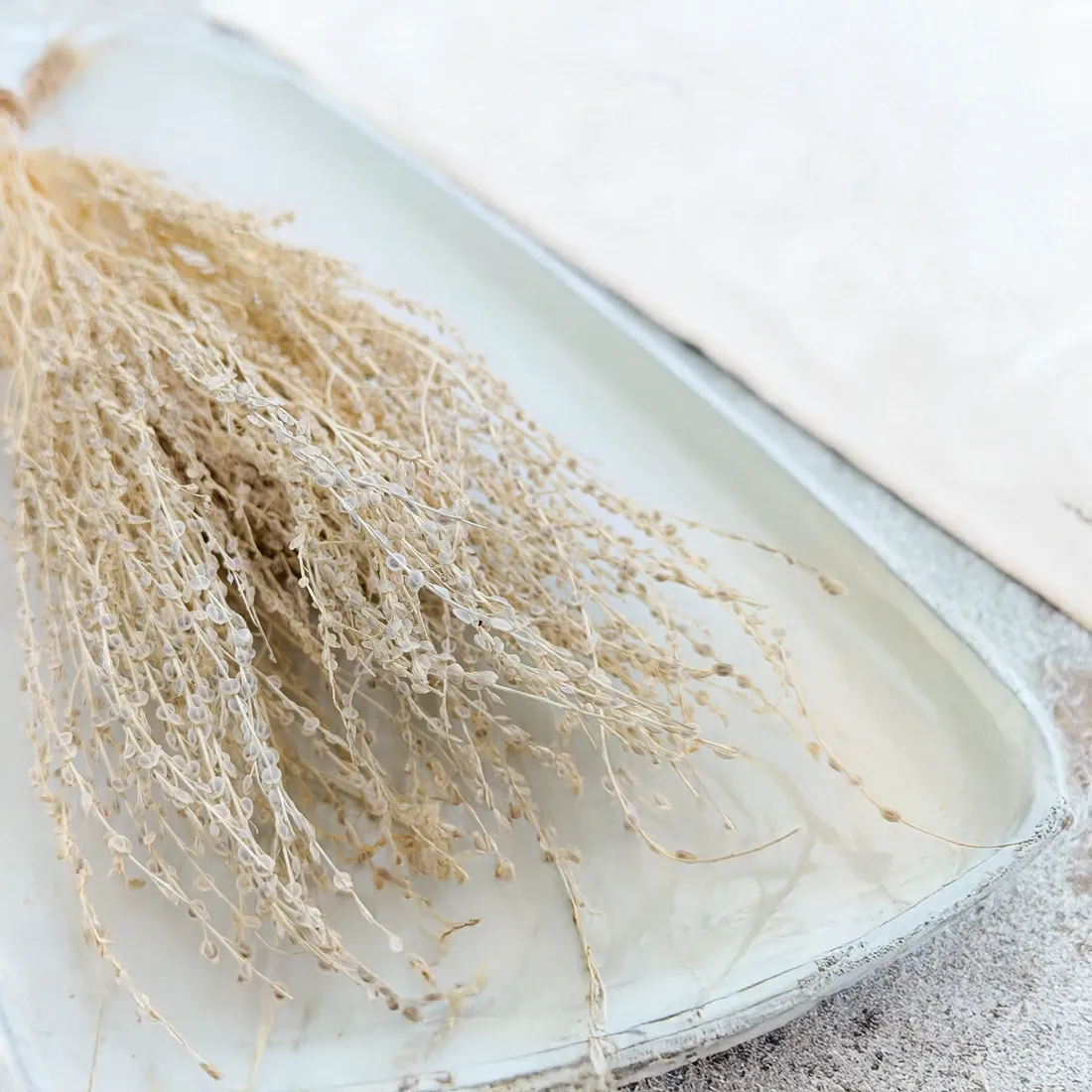 lepidium-lepidium-sativum-bielone
