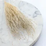 lepidium-lepidium-sativum-bielone-kod-producenta-lepidium-bielone