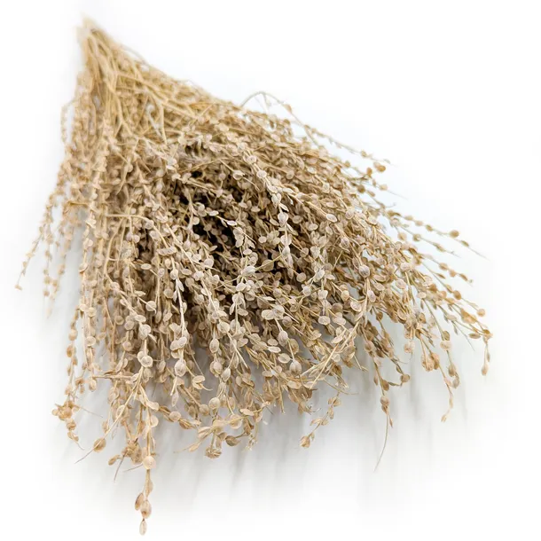 lepidium-lepidium-sativum-naturalne