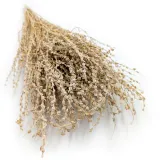 lepidium-lepidium-sativum-naturalne