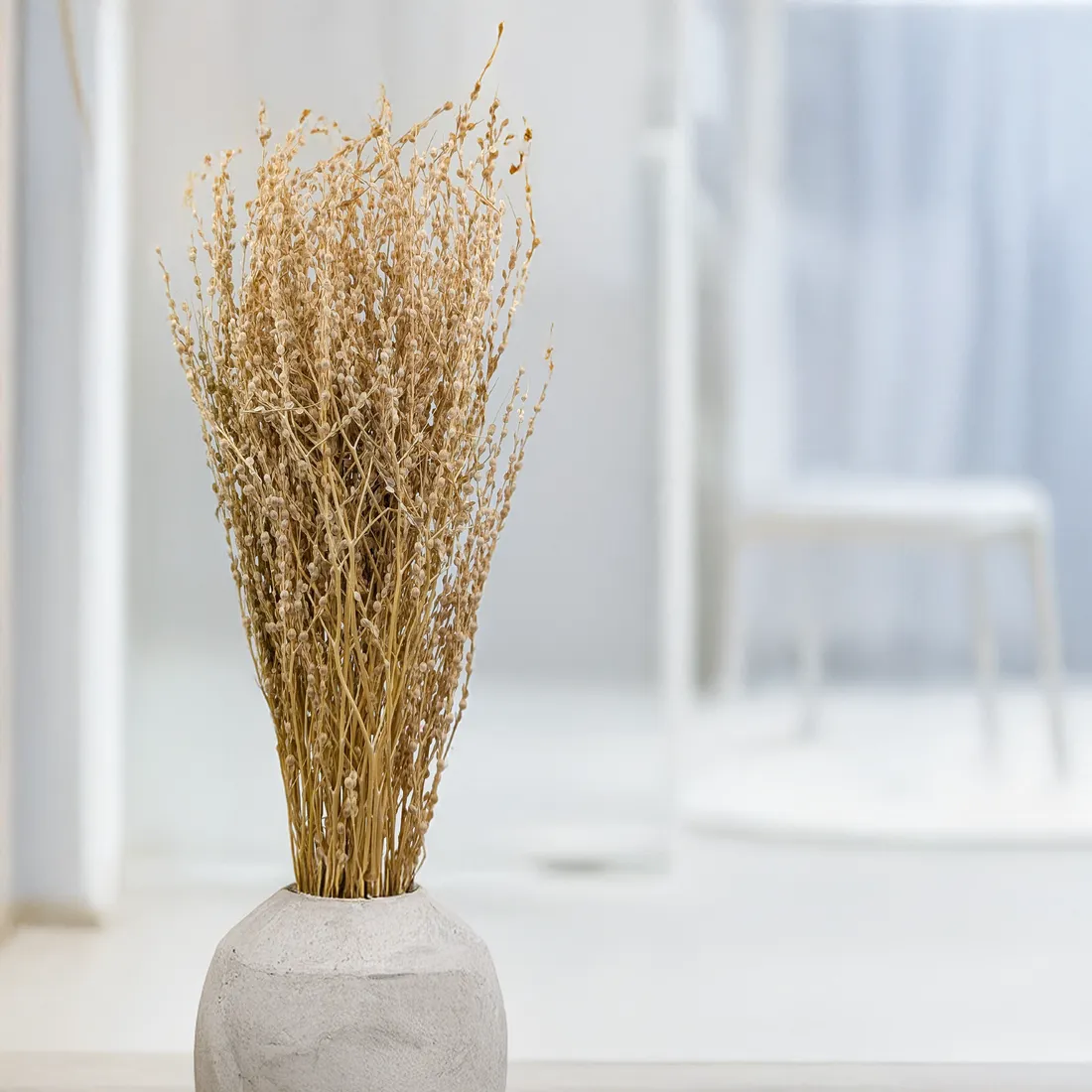 lepidium-lepidium-sativum-naturalne
