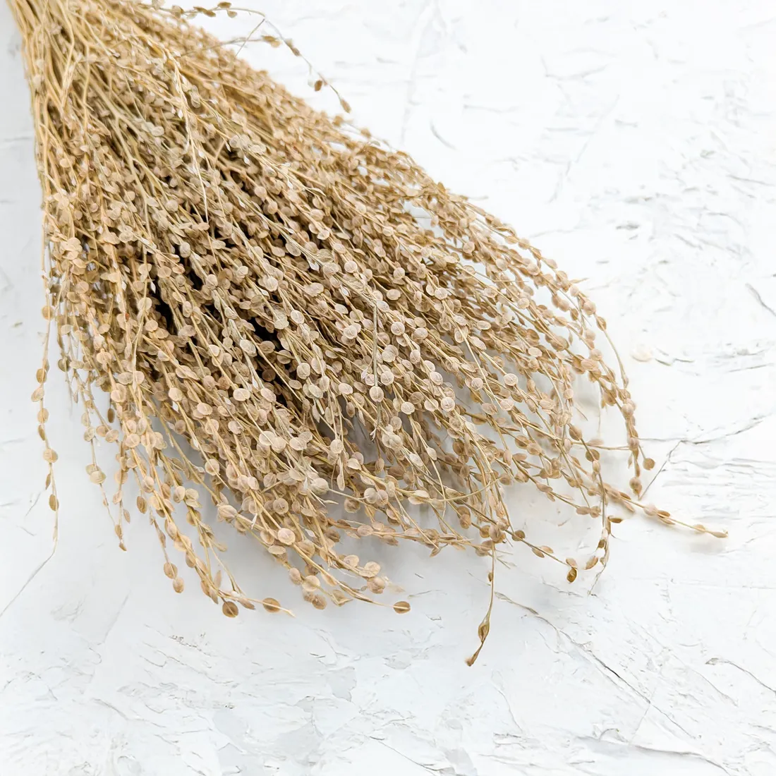 lepidium-lepidium-sativum-naturalne-stan-nowy