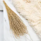 lepidium-lepidium-sativum-naturalne-kod-producenta-lepidium-naturalne
