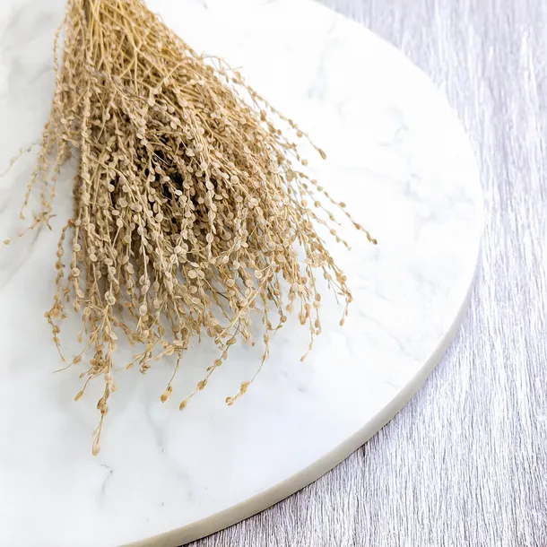 lepidium-lepidium-sativum-naturalne-wysokosc-maksymalna-60-cm