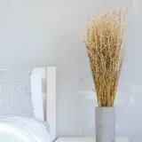 lepidium-lepidium-sativum-naturalne-marka-enchanted