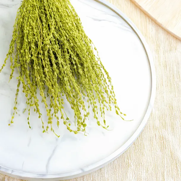 lepidium-lepidium-sativum-jasnozielone-kod-producenta-lepidium-jasnozielone