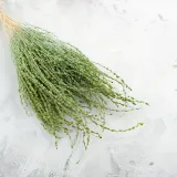 lepidium-lepidium-sativum-zielone-kod-producenta-lepidium-zielone