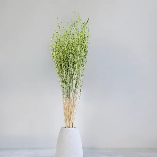 lepidium-lepidium-sativum-zielone-typ-inny