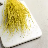 lepidium-lepidium-sativum-zolte-wysokosc-maksymalna-60-cm