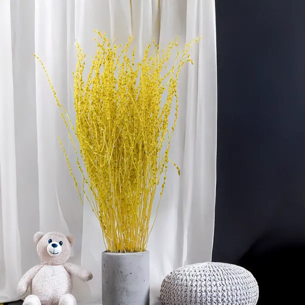 lepidium-lepidium-sativum-zolte-marka-enchanted