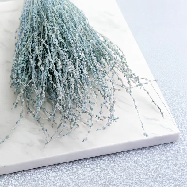 lepidium-lepidium-sativum-mietowe-wysokosc-maksymalna-60-cm