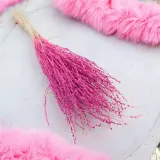 lepidium-lepidium-sativum-fuksja-kod-producenta-lepidium-fuksja