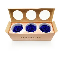 roza-stabilizowana-szafirowy-niebieski-sapphire-blue-xl-3szt