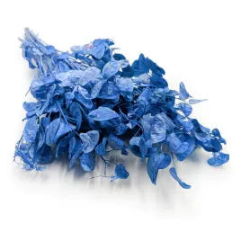 miesiecznica-lunaria-suszona-niebieska