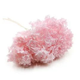 hortensja-stabilizowana-hydrangea-cabeza-rozowa