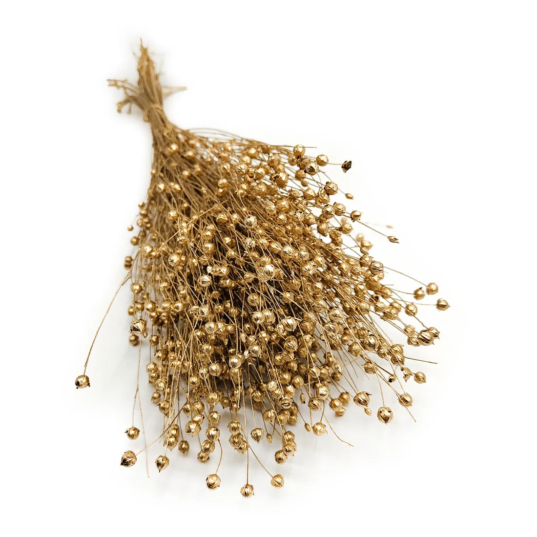 len-suszony-zloty-stan-nowy