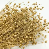 len-suszony-zloty-stan-nowy