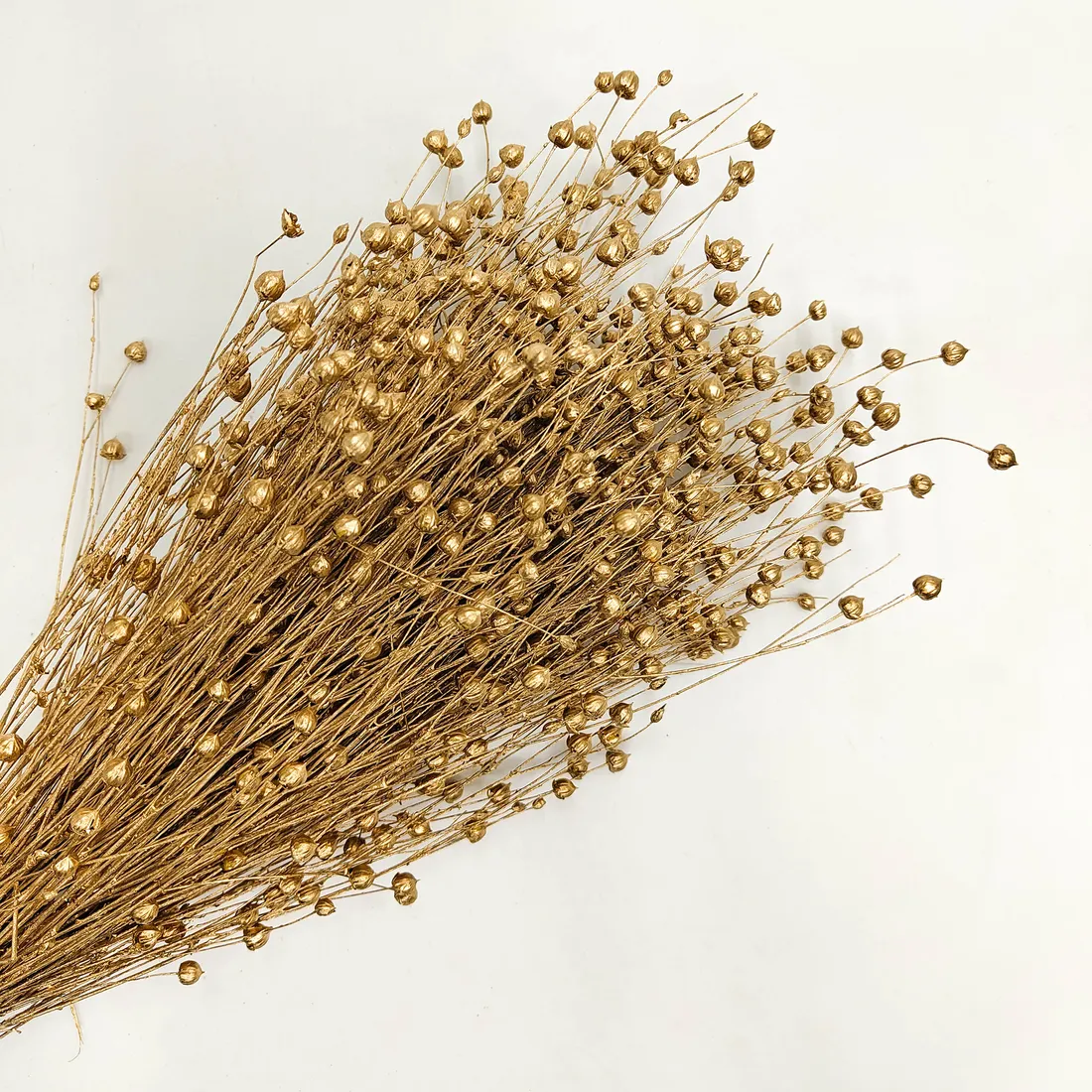 len-suszony-zloty-stan-nowy